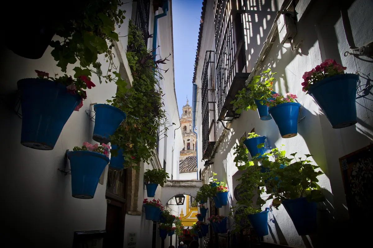 The narrow Calleja de las Flores in Córdoba, its white walls hung with blue flowerpots and a bell tower at the far end